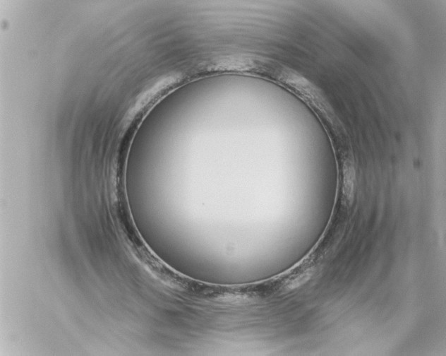 X0000060260578200511112023