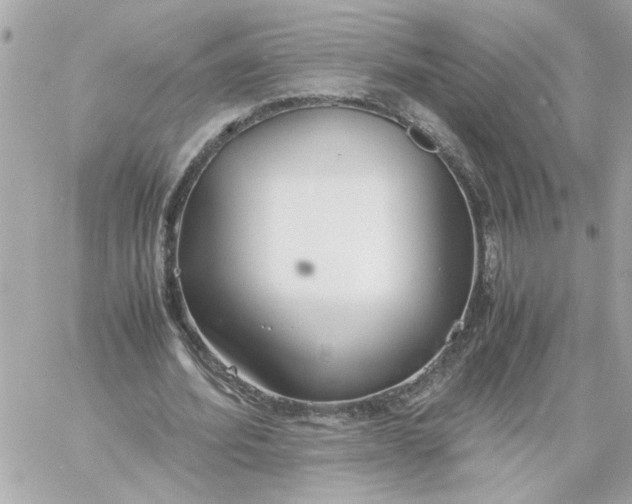 X0000060260580200511112023