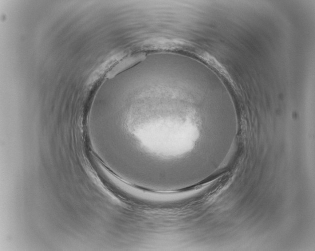 X0000060260581200511112023