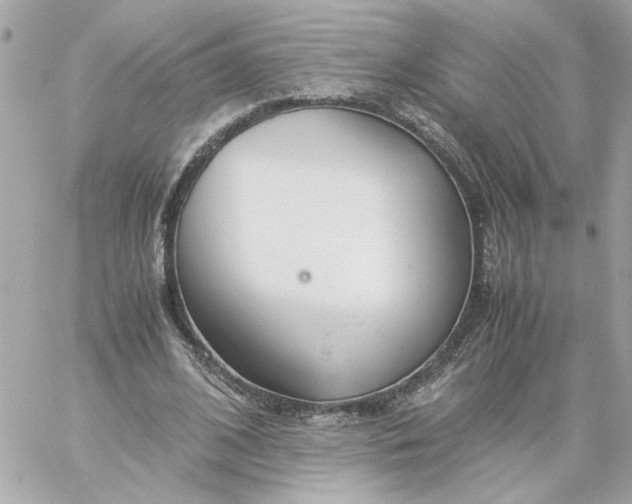 X0000060260584200511112023