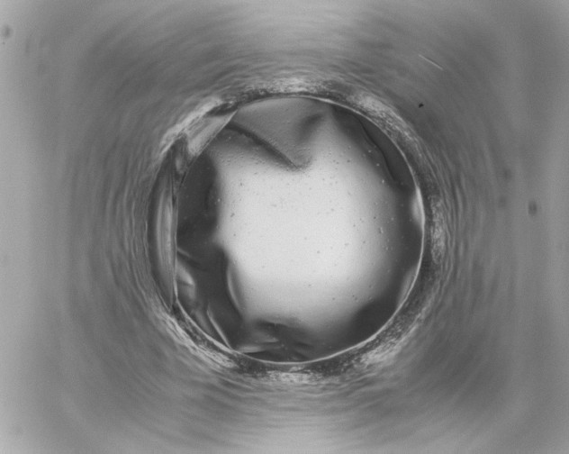 X0000060260585200511112023