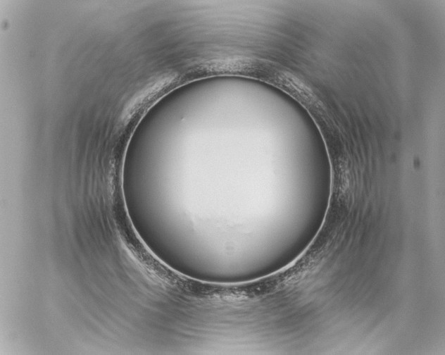 X0000060260586200511112023