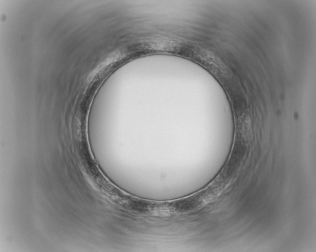 X0000060260587200511112023