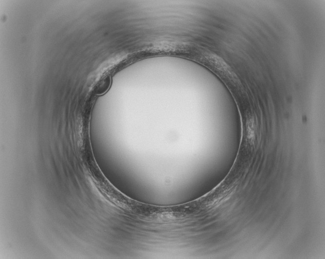 X0000060260588200511112023