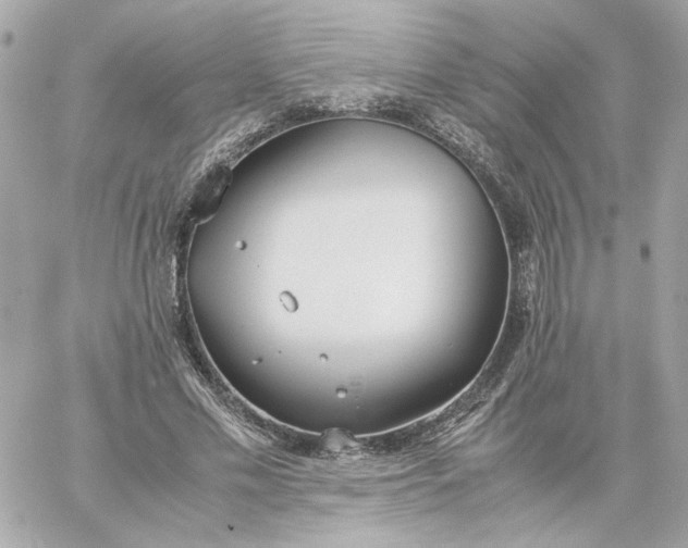 X0000060260589200511112023