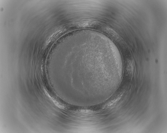 X0000060260590200511112023