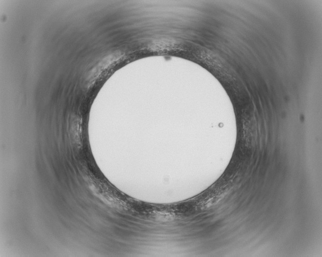 X0000060260592200511112023