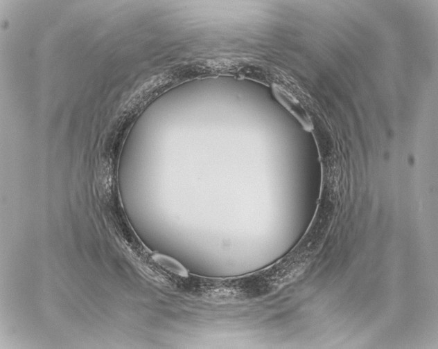 X0000060260593200511112023