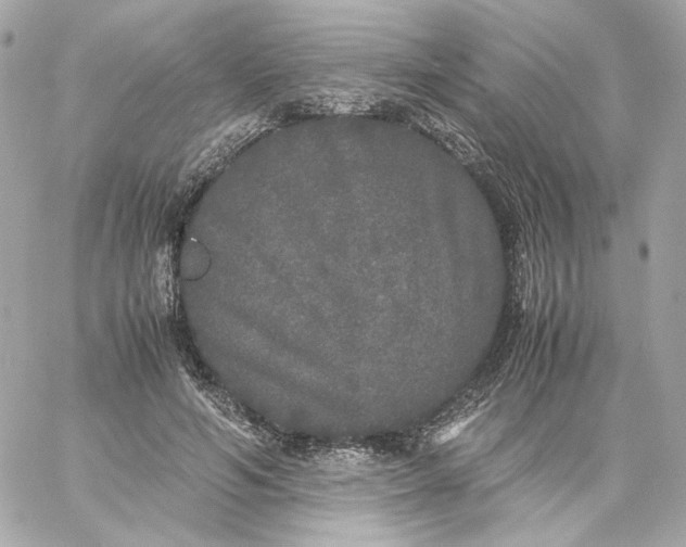 X0000060260594200511112023