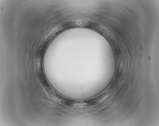 X0000060260595200511112023