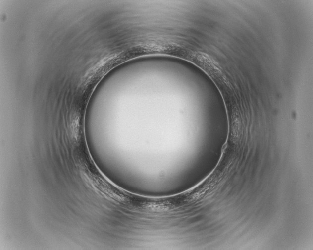 X0000060260596200511112023