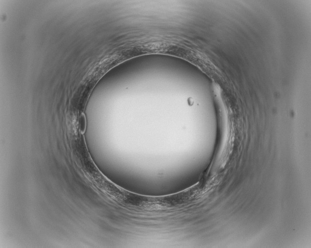 X0000060260597200511112023