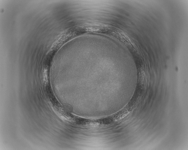 X0000060260598200511112023