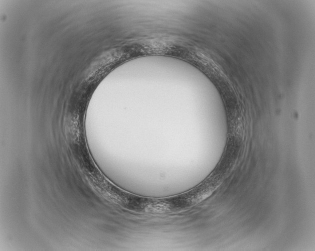 X0000060260599200511112023