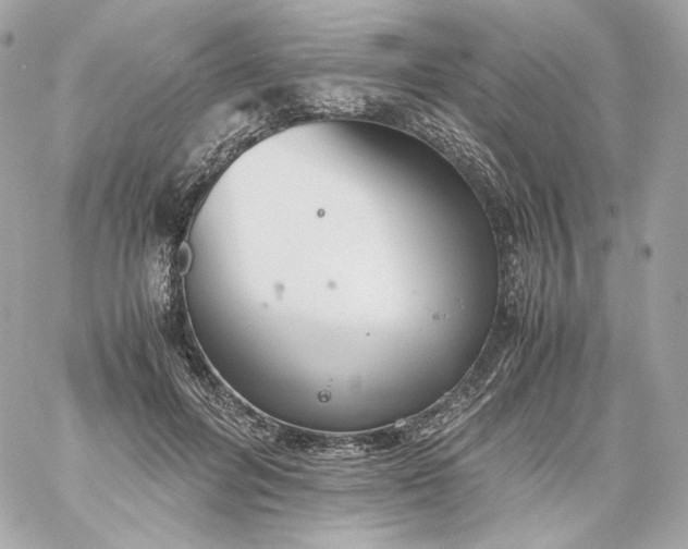 X0000060260600200511112023