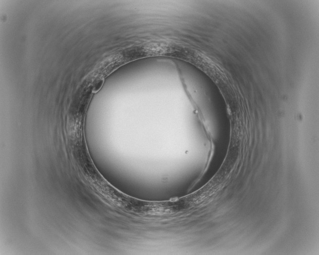 X0000060260601200511112023