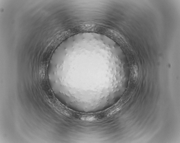 X0000060260602200511112023