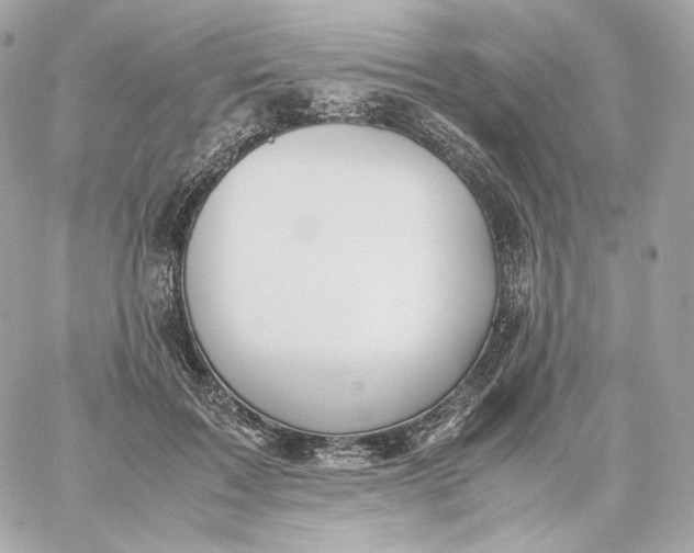 X0000060260603200511112023