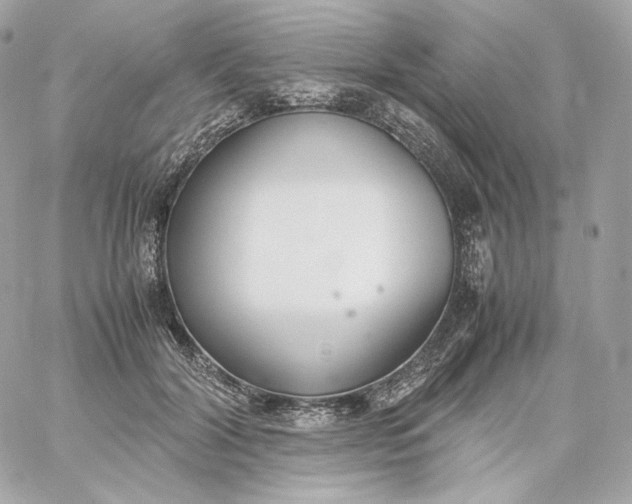 X0000060260604200511112023