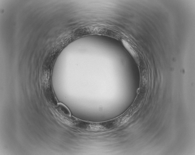 X0000060260605200511112023