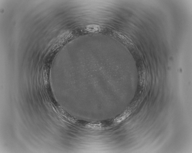 X0000060260606200511112023