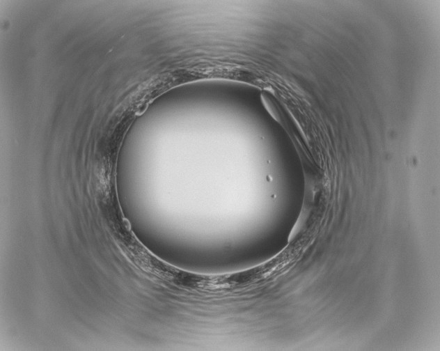 X0000060260607200511112023