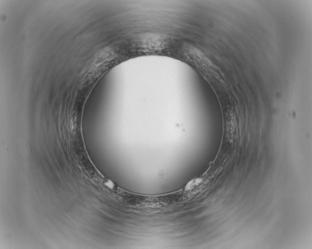 X0000060260608200511112023