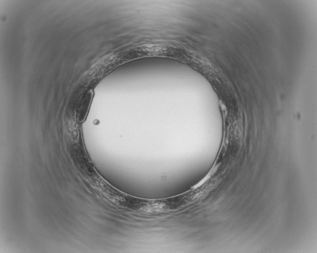 X0000060260609200511112023