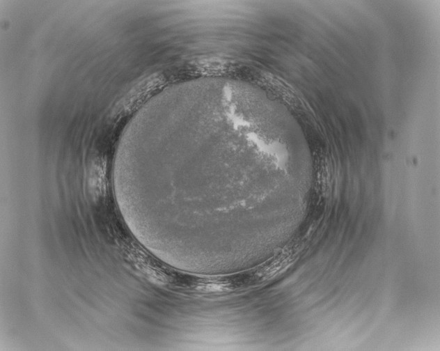 X0000060260610200511112023