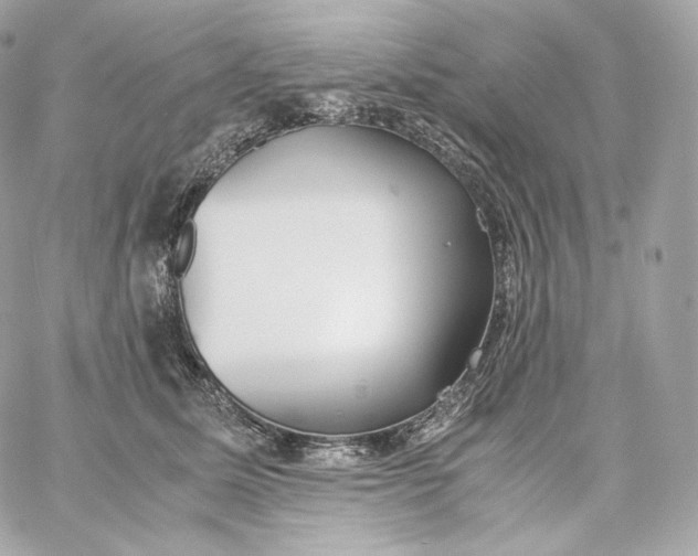 X0000060260611200511112023