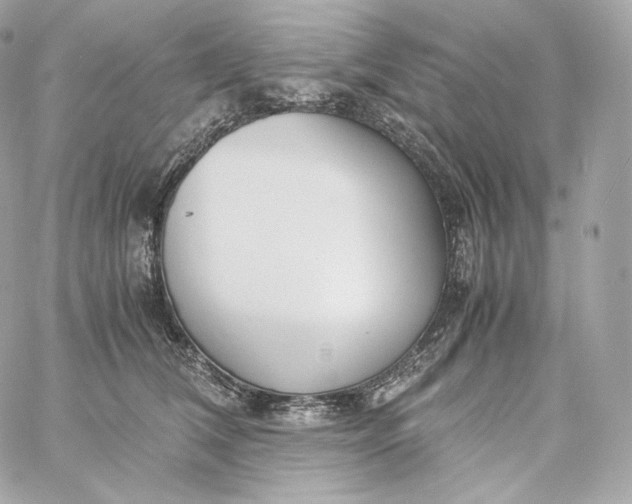 X0000060260612200511112023