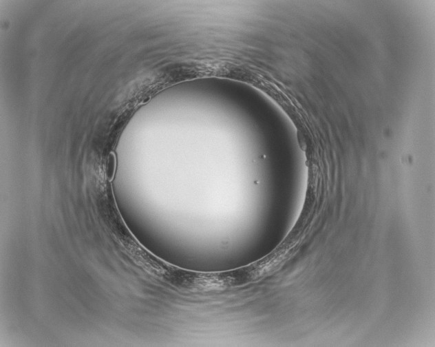 X0000060260613200511112023