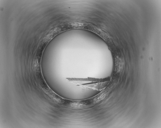 X0000060260614200511112023