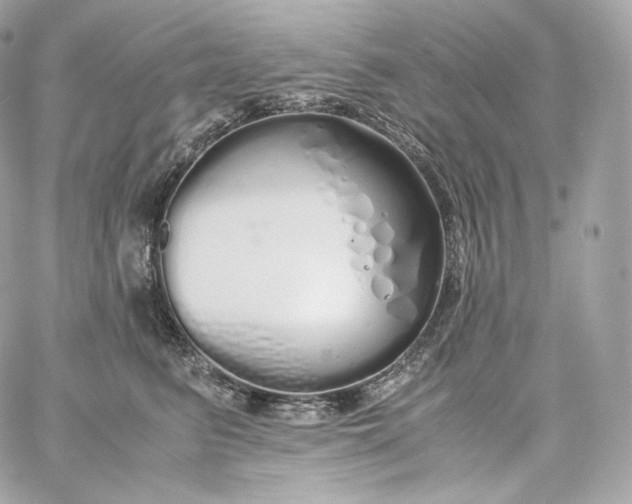 X0000060260615200511112023