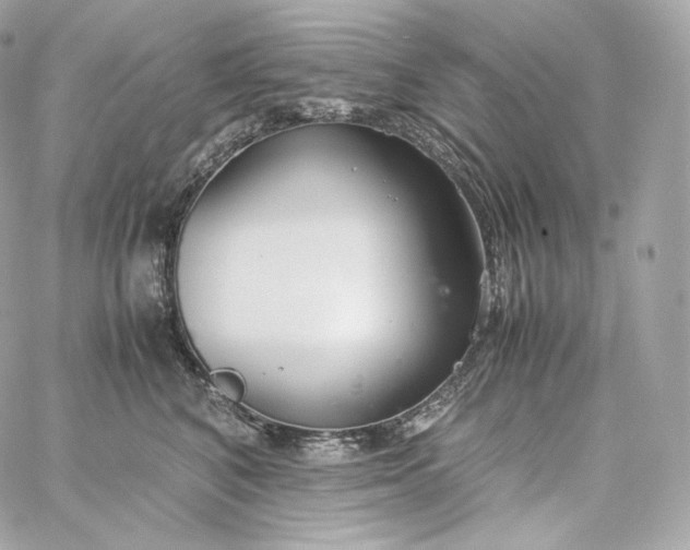 X0000060260616200511112023