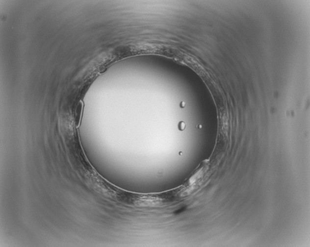 X0000060260617200511112023