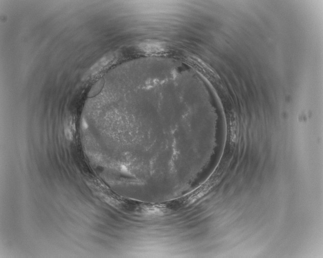 X0000060260618200511112023