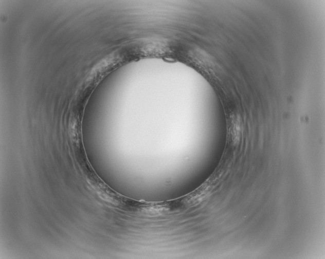 X0000060260619200511112023