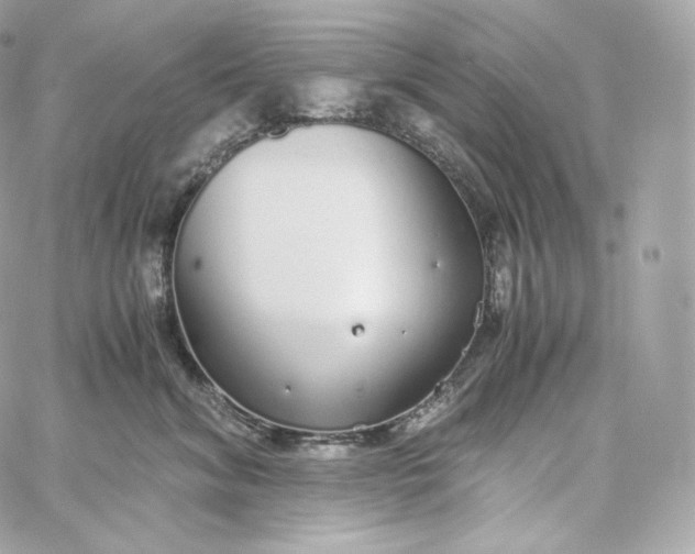 X0000060260620200511112023