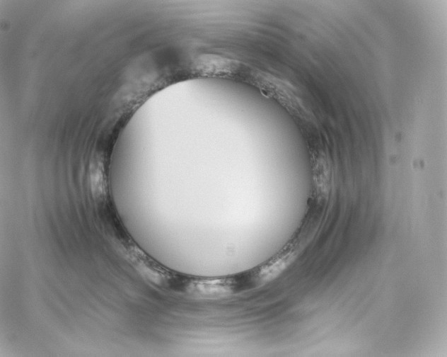 X0000060260622200511112023