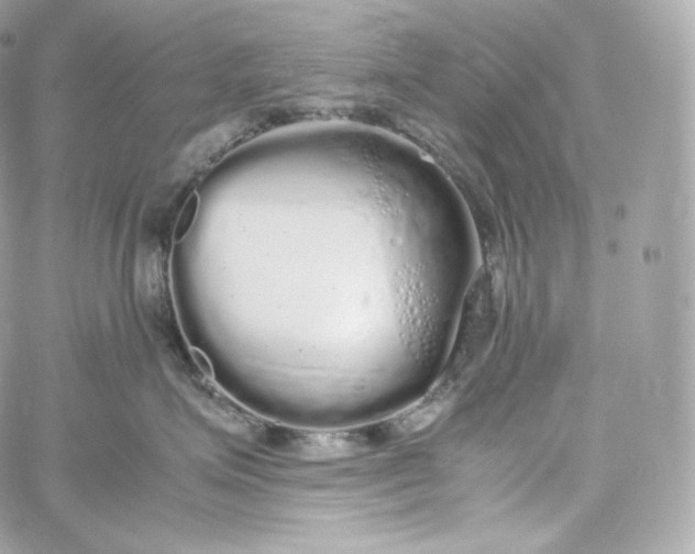 X0000060260623200511112023