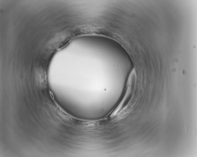 X0000060260624200511112023