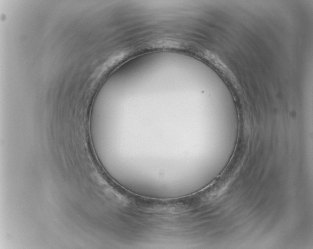 X0000060260625200511112022