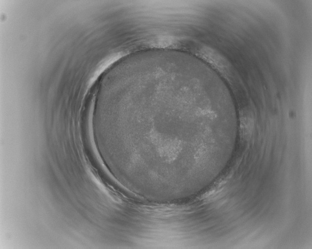 X0000060260626200511112022