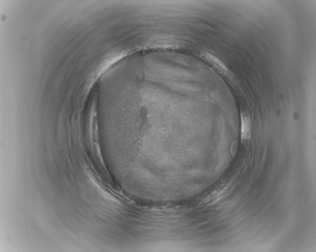 X0000060260627200511112022