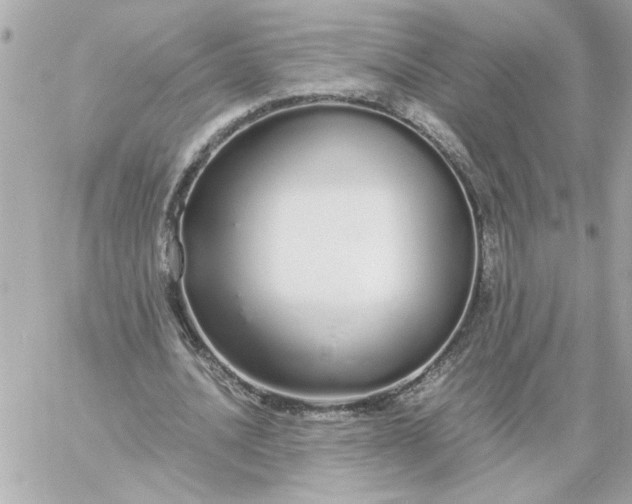 X0000060260628200511112022