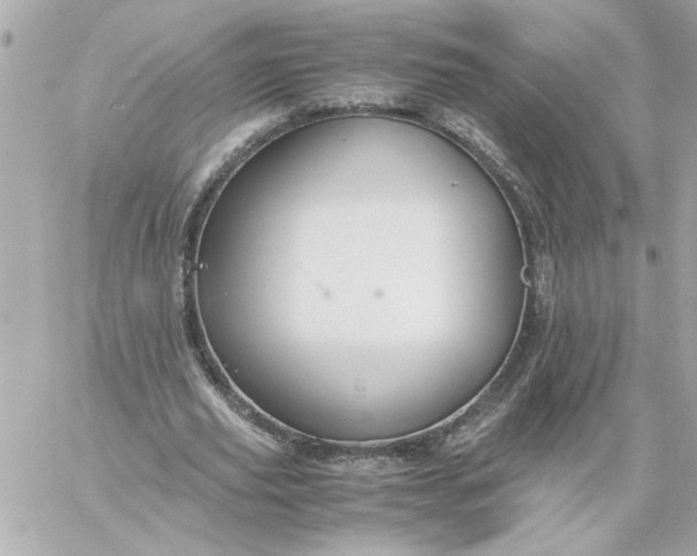 X0000060260629200511112022