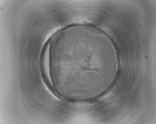 X0000060260630200511112022