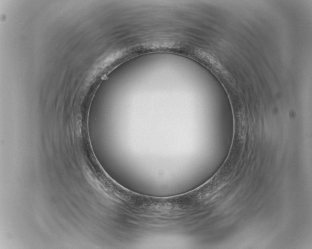 X0000060260631200511112022