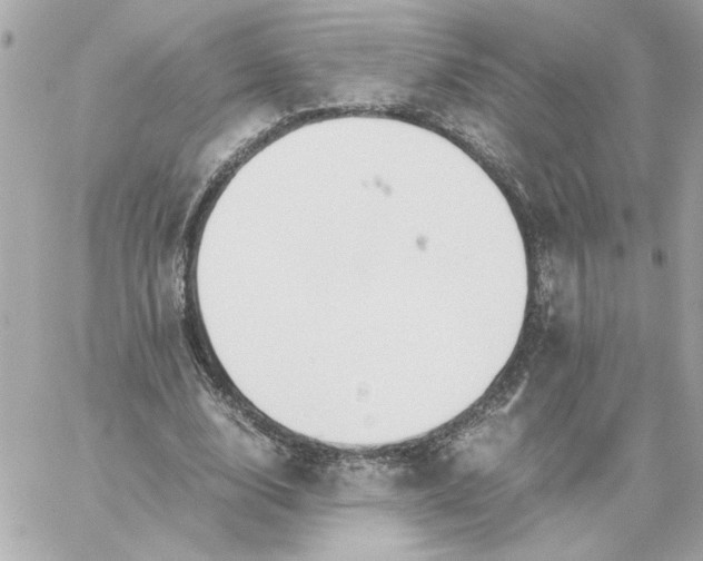 X0000060260632200511112022